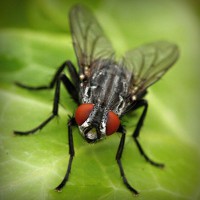 /album/qrfaic/photolia-a01-jpg/