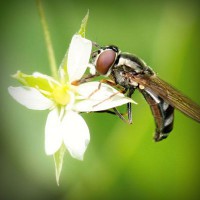 /album/qrfaic/photolia-a02-jpg/