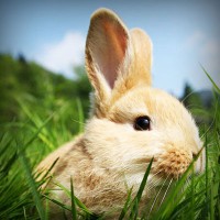 /album/qrfaic/photolia-a03-jpg/