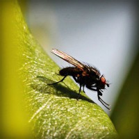 /album/qrfaic/photolia-a04-jpg/