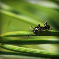 /album/qrfaic/photolia-a05-jpg/