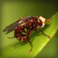 /album/qrfaic/photolia-a06-jpg/