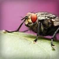 /album/qrfaic/photolia-a08-jpg/